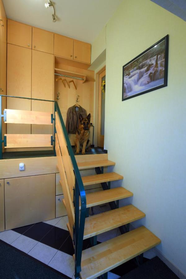 Ferienappartement Regina Schrems  Buitenkant foto